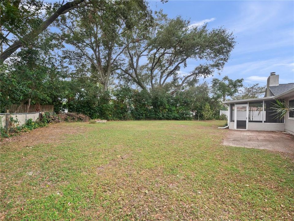 Spacious Backyard