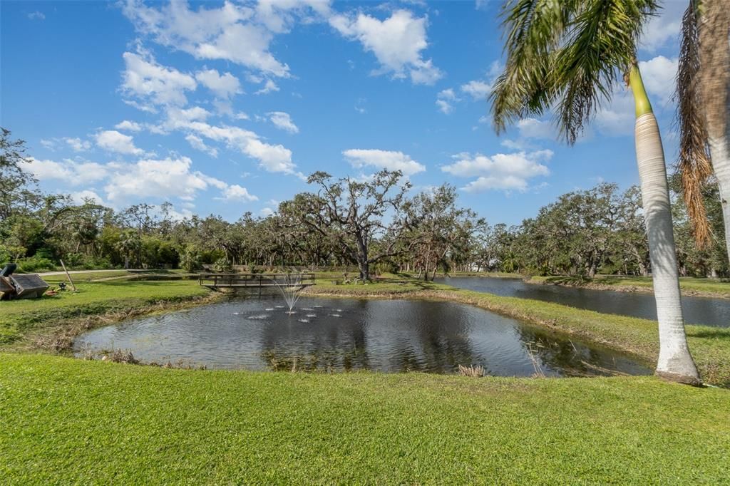 One of Two Ponds