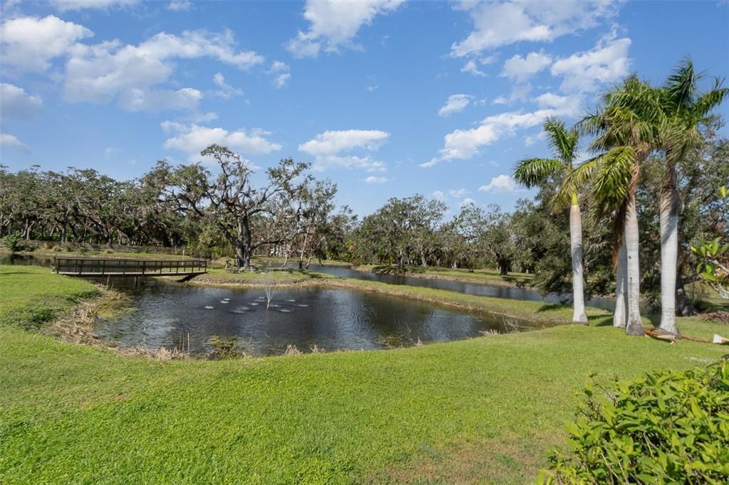 One of Two Ponds