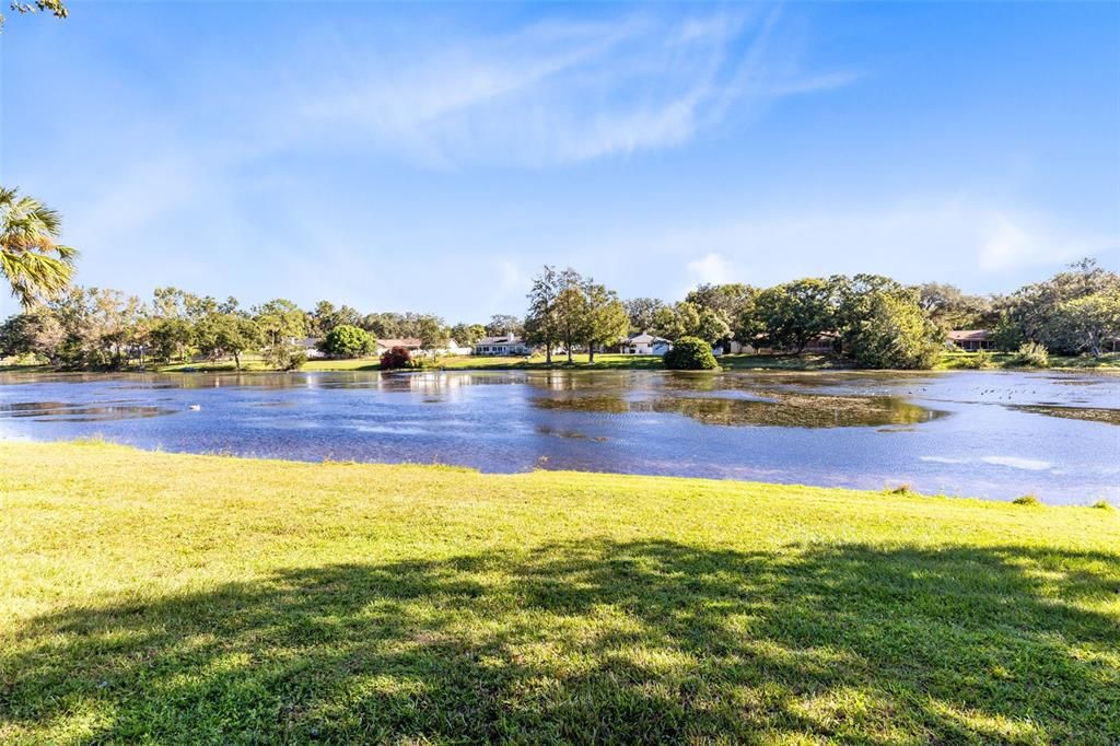 Lake Frontage