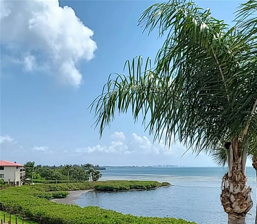 Sarasota Bay View towards Downtown