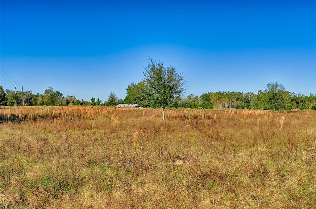 For Sale: $115,000 (8.02 acres)