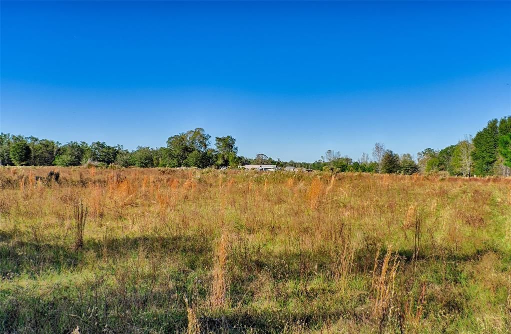 For Sale: $115,000 (8.02 acres)