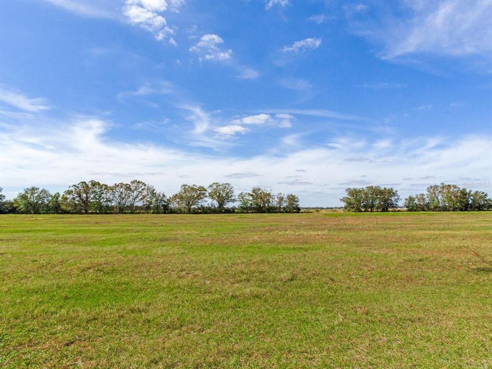 Active With Contract: $915,000 (61.61 acres)