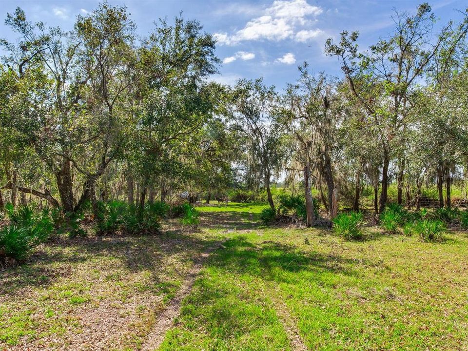 Active With Contract: $915,000 (61.61 acres)