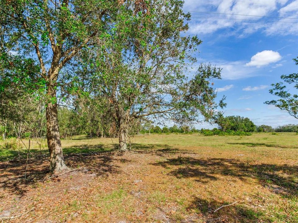 Active With Contract: $915,000 (61.61 acres)