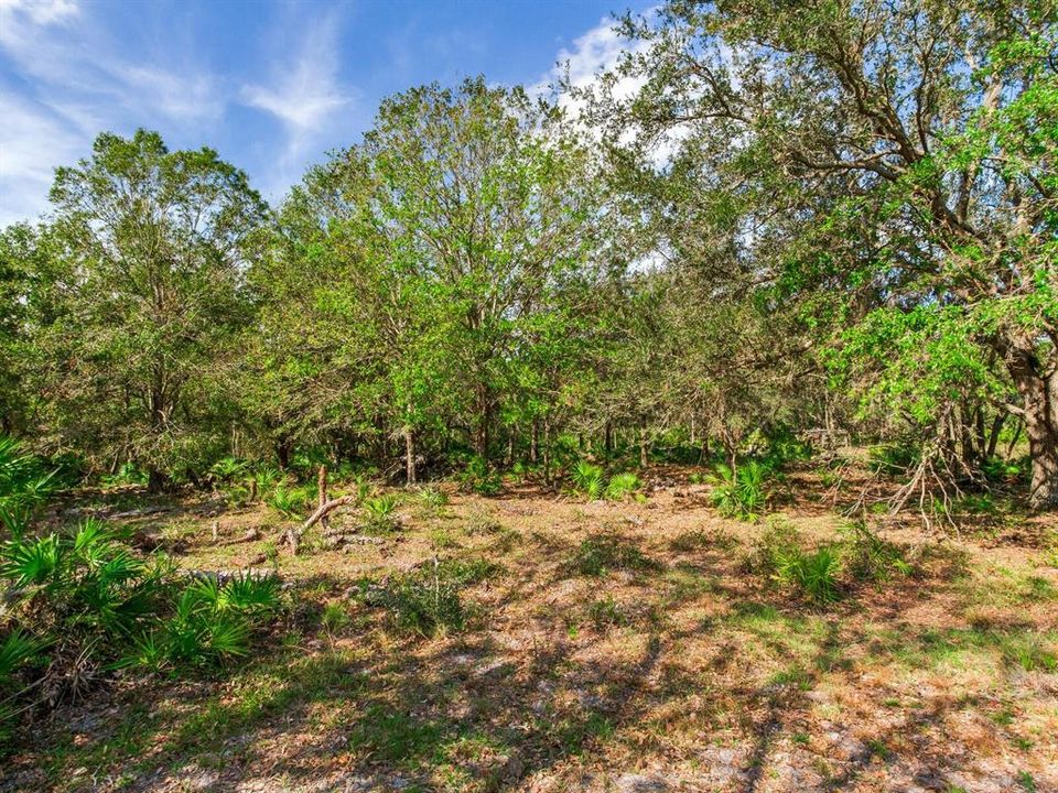 Active With Contract: $915,000 (61.61 acres)