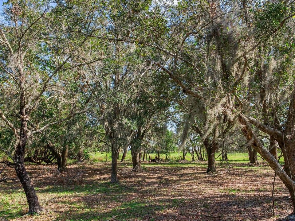 Active With Contract: $915,000 (61.61 acres)