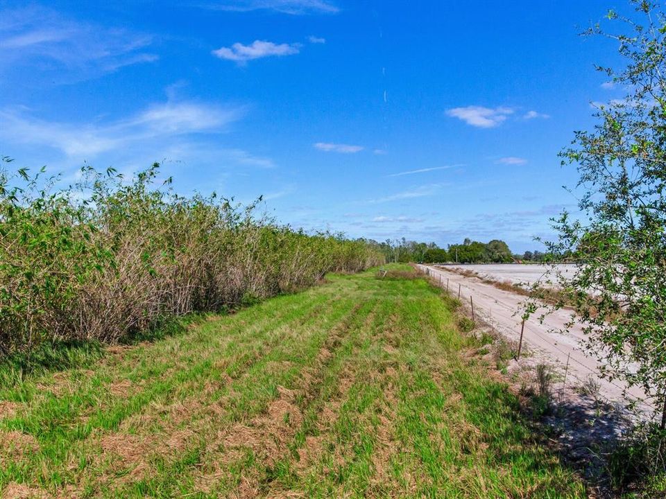 Active With Contract: $915,000 (61.61 acres)