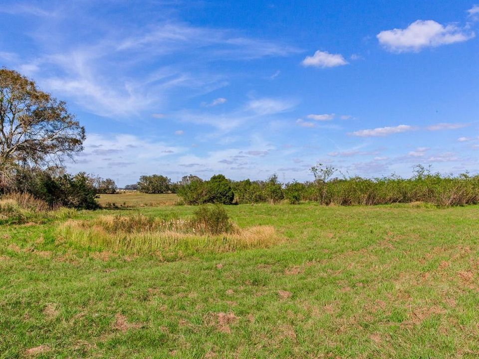 Active With Contract: $915,000 (61.61 acres)