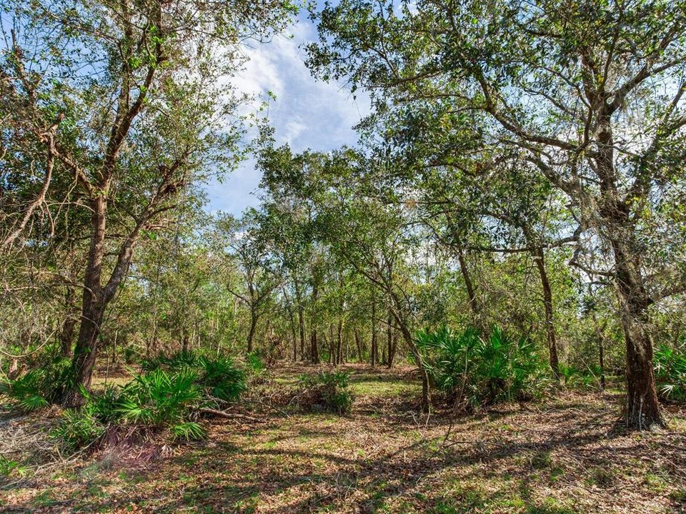 Active With Contract: $915,000 (61.61 acres)