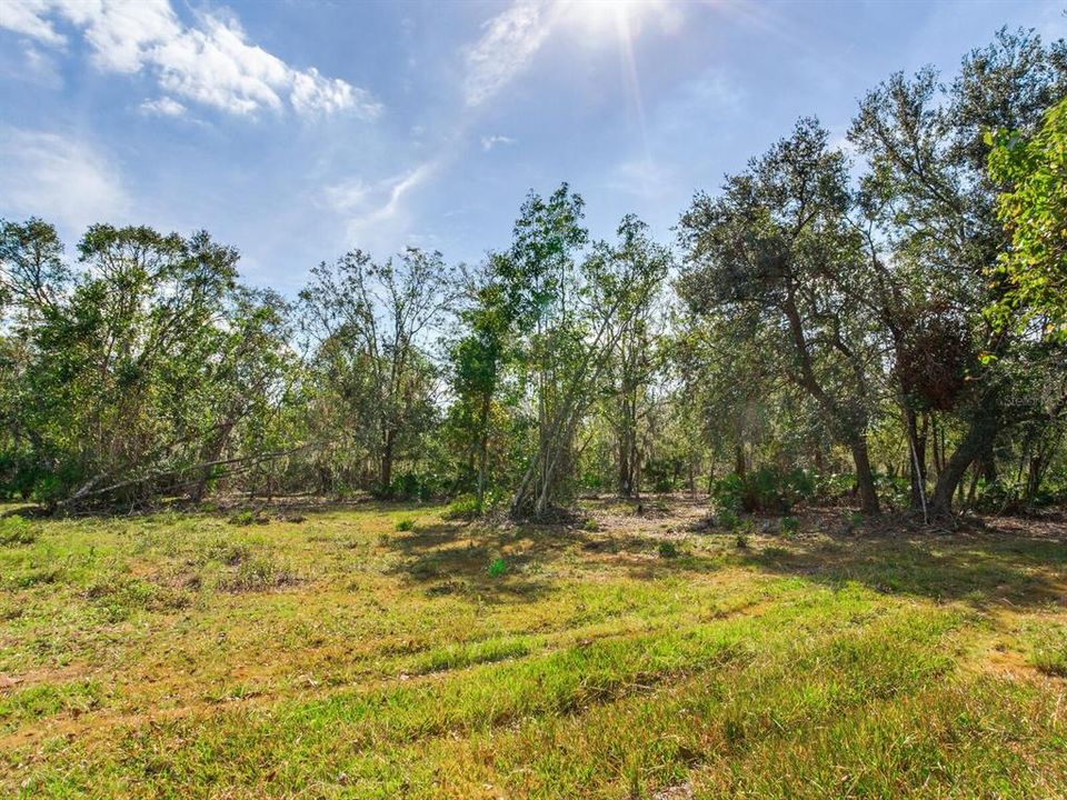 Active With Contract: $915,000 (61.61 acres)