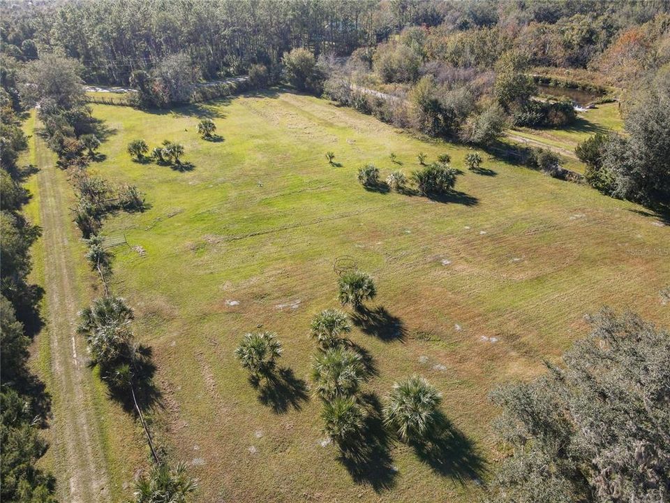 DRONE PASTURE