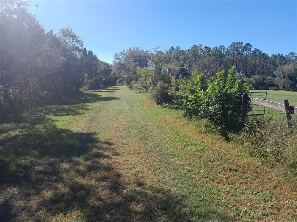 PASTURE PATH FROM BEHIND HOUSE & STABLES