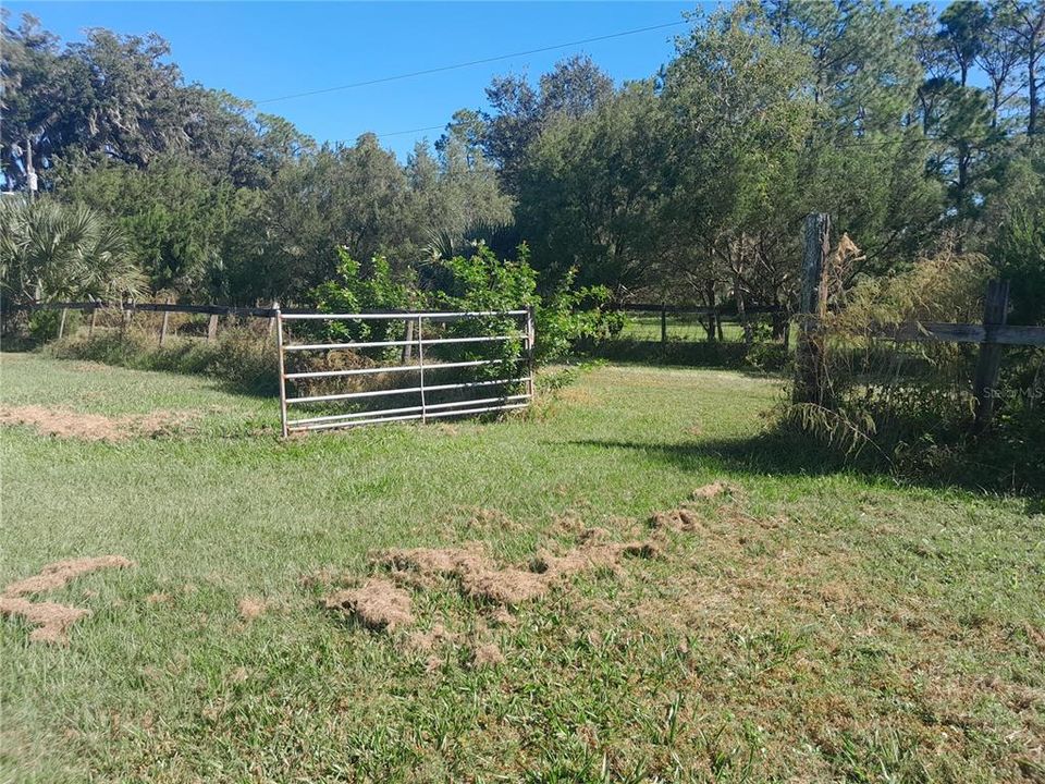 PASTURE ENTRY