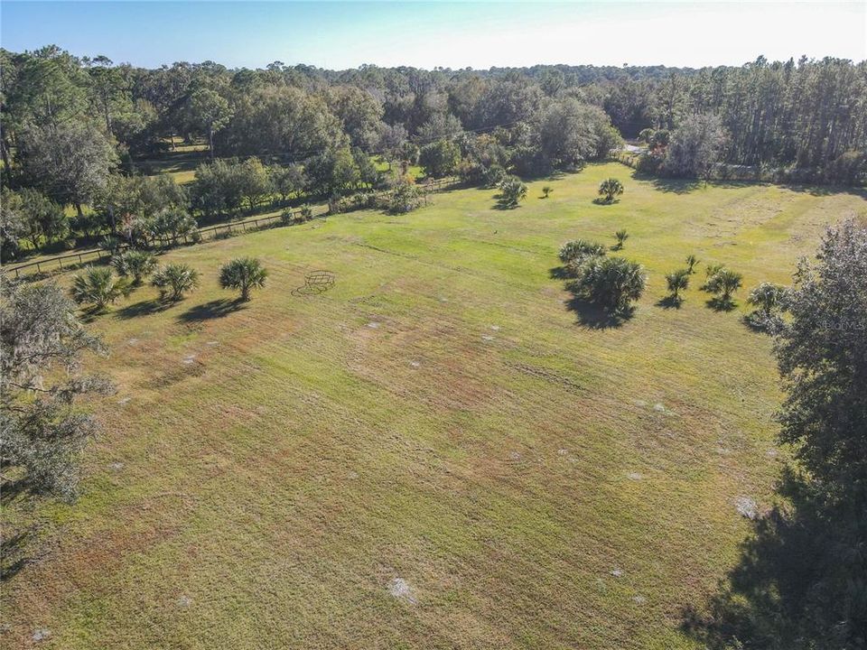 DRONE PASTURE