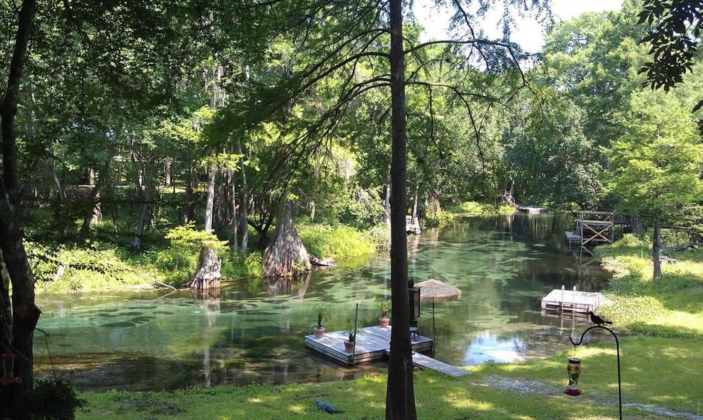 Ichetucknee River - 72 degrees year round