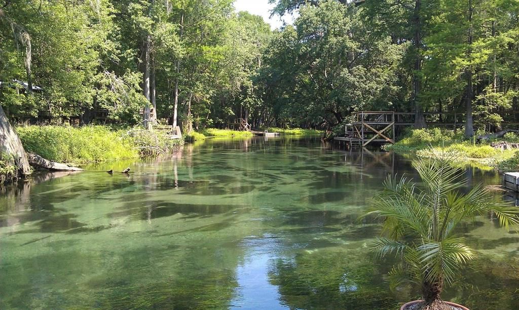 Ichetucknee River