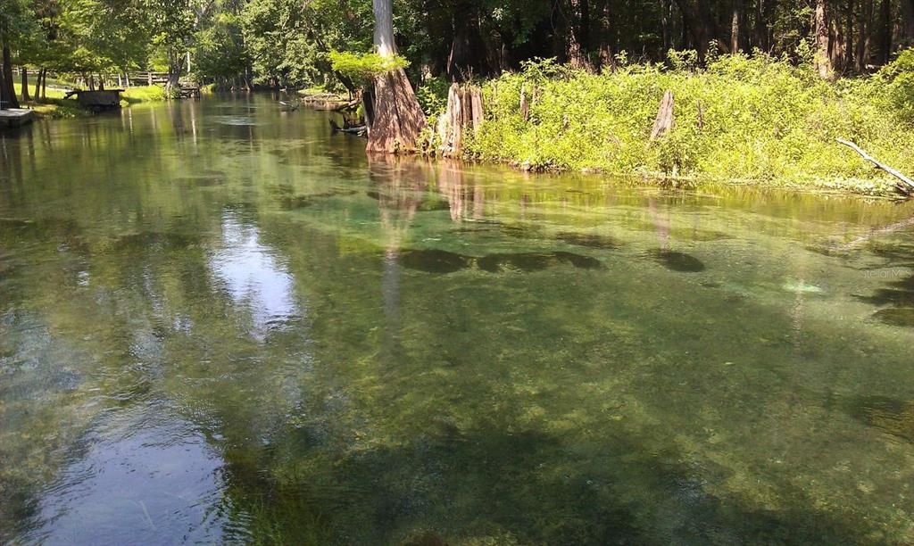 Ichetucknee River