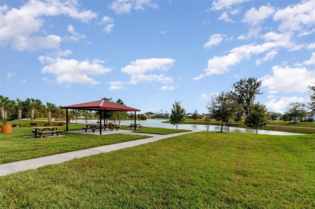 Pond and walking trails