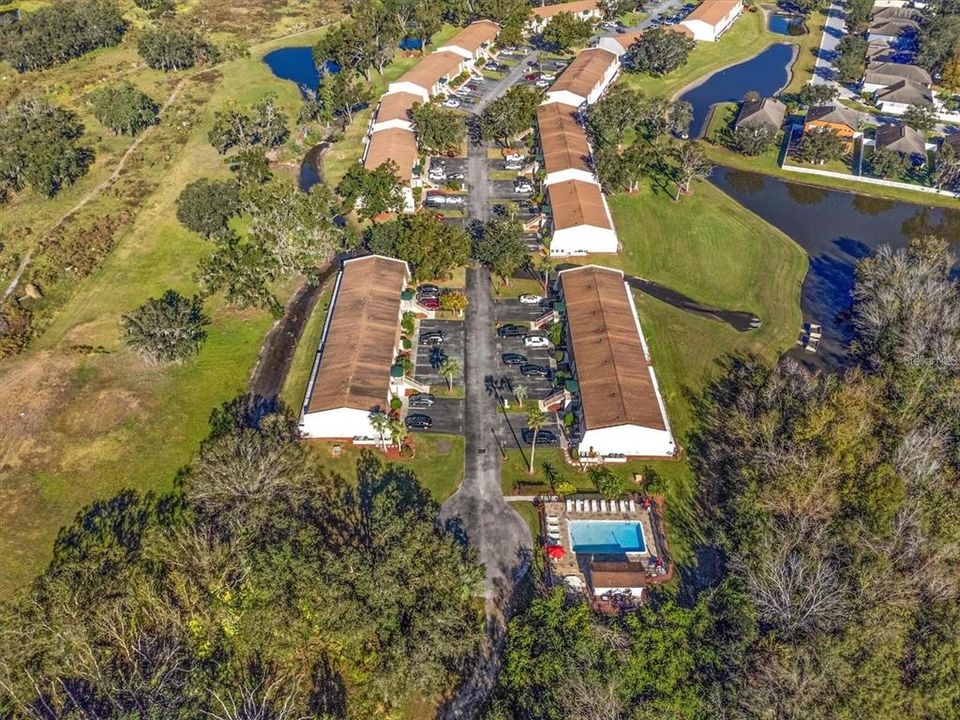 DRONE of neighborhood and pool