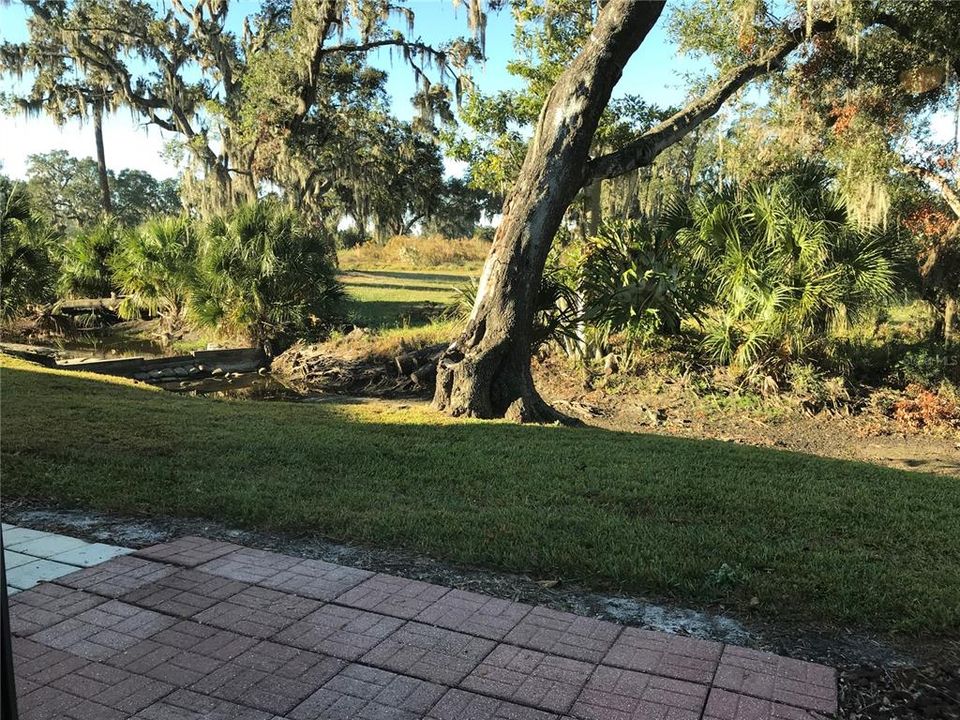 Pavered Lanai overlooking NO BACK YARD NEIGHBORS.