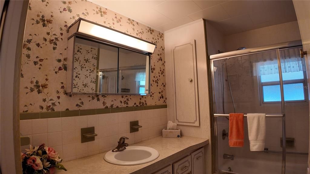 Hall Bathroom with Tub Shower