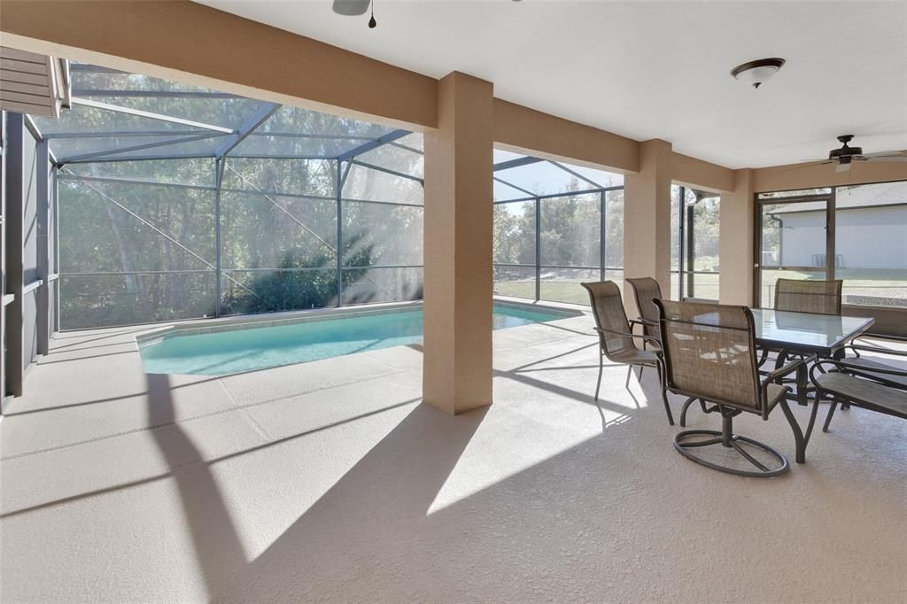 Pool Patio area