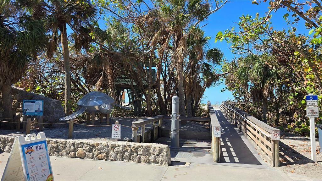 Venice Public Beach