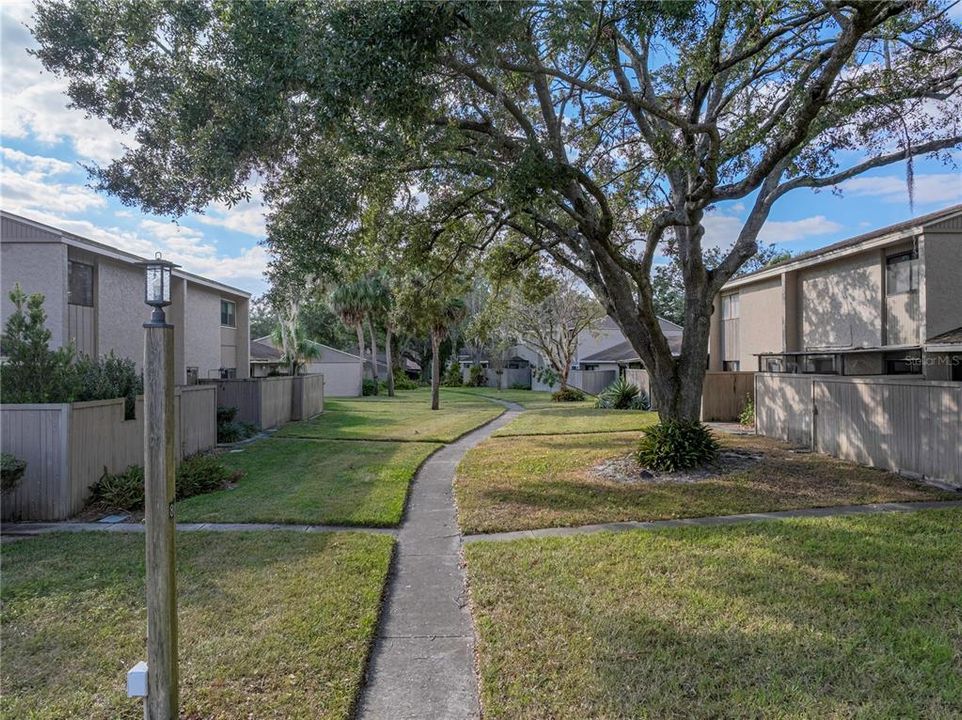 Rear Walking Path