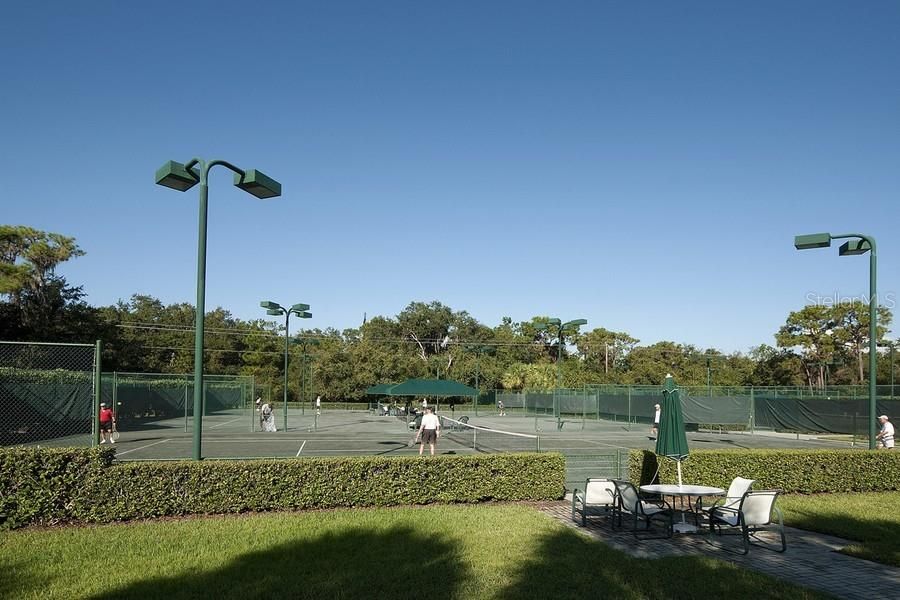 5 Har-Tru lighted tennis courts.