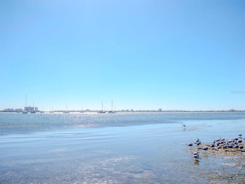 BEACH RIGHT ACROSS FROM YOUR CONDO