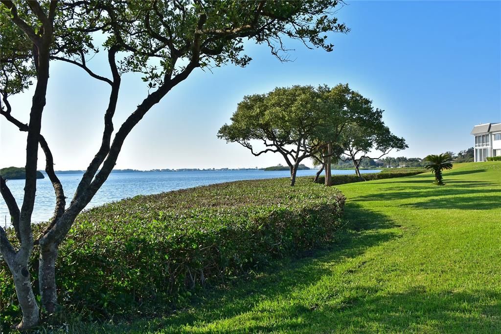 For Sale: $495,000 (2 beds, 2 baths, 1353 Square Feet)