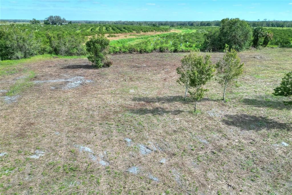 Active With Contract: $390,000 (12.95 acres)