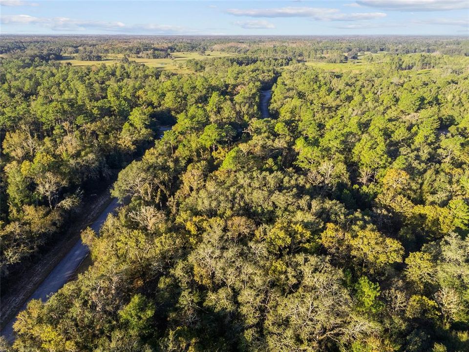 На продажу: $49,000 (1.00 acres)