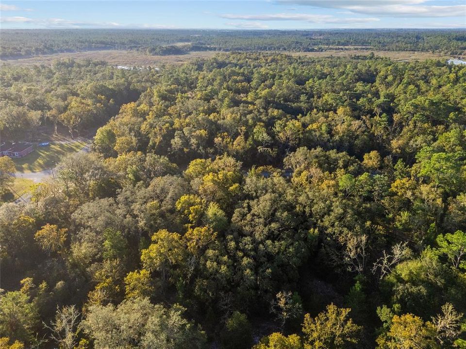 На продажу: $49,000 (1.00 acres)