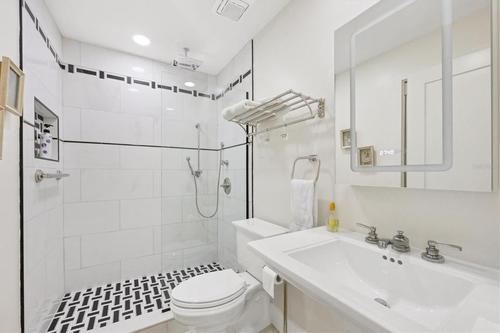 Guest Bathroom white Thasos marble and RH fixtures, lighted medicine cabinet.