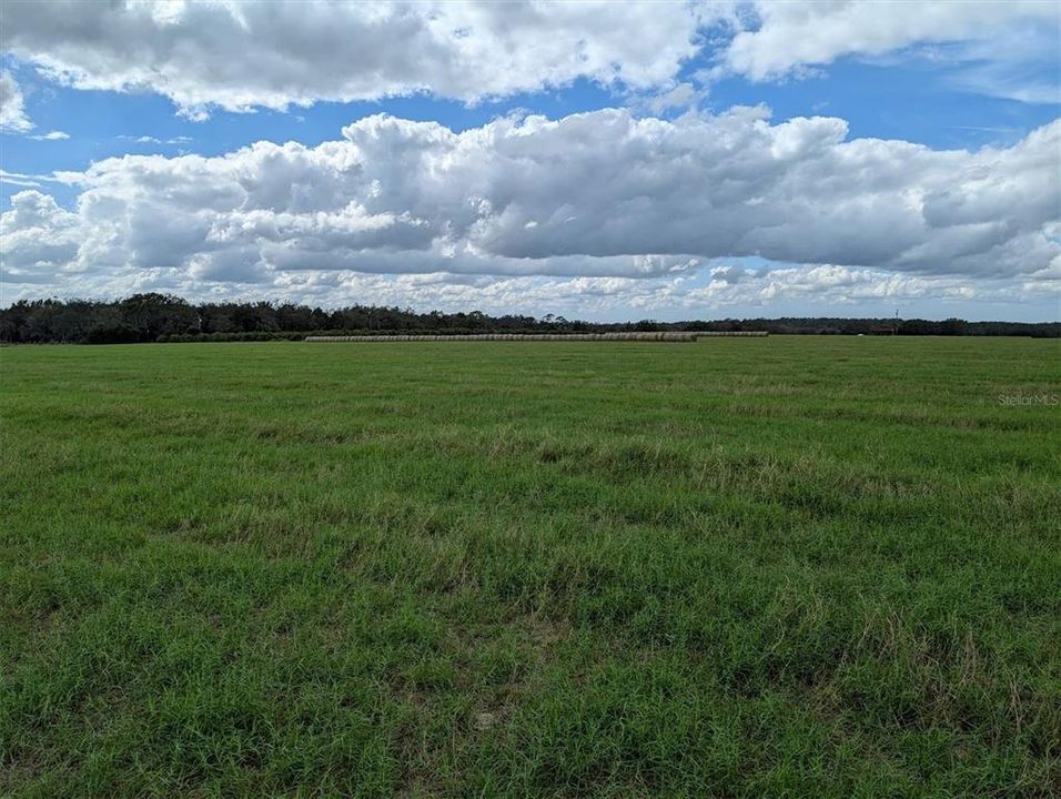 For Sale: $440,000 (20.00 acres)