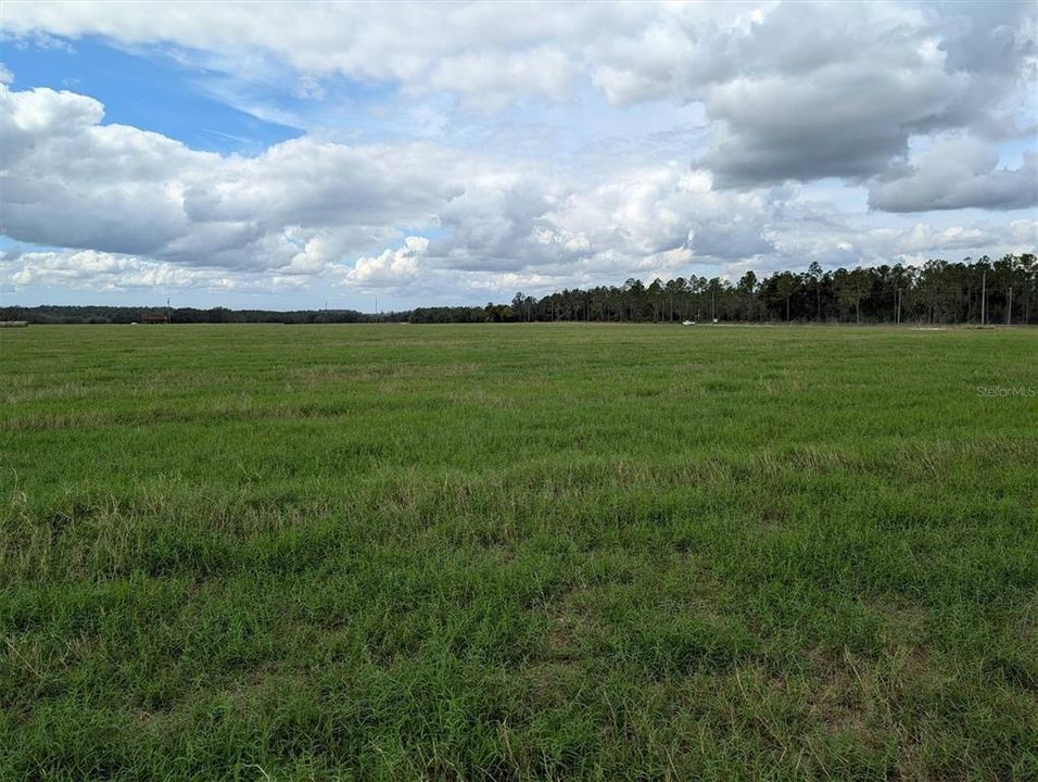 For Sale: $440,000 (20.00 acres)