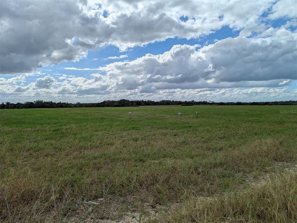 For Sale: $440,000 (20.00 acres)