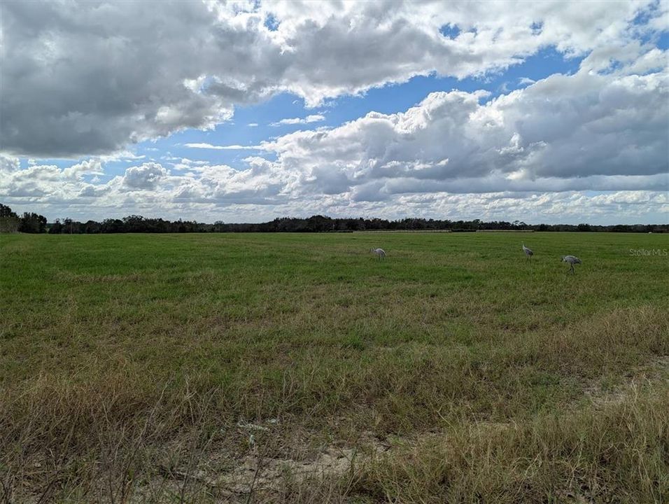 For Sale: $440,000 (20.00 acres)