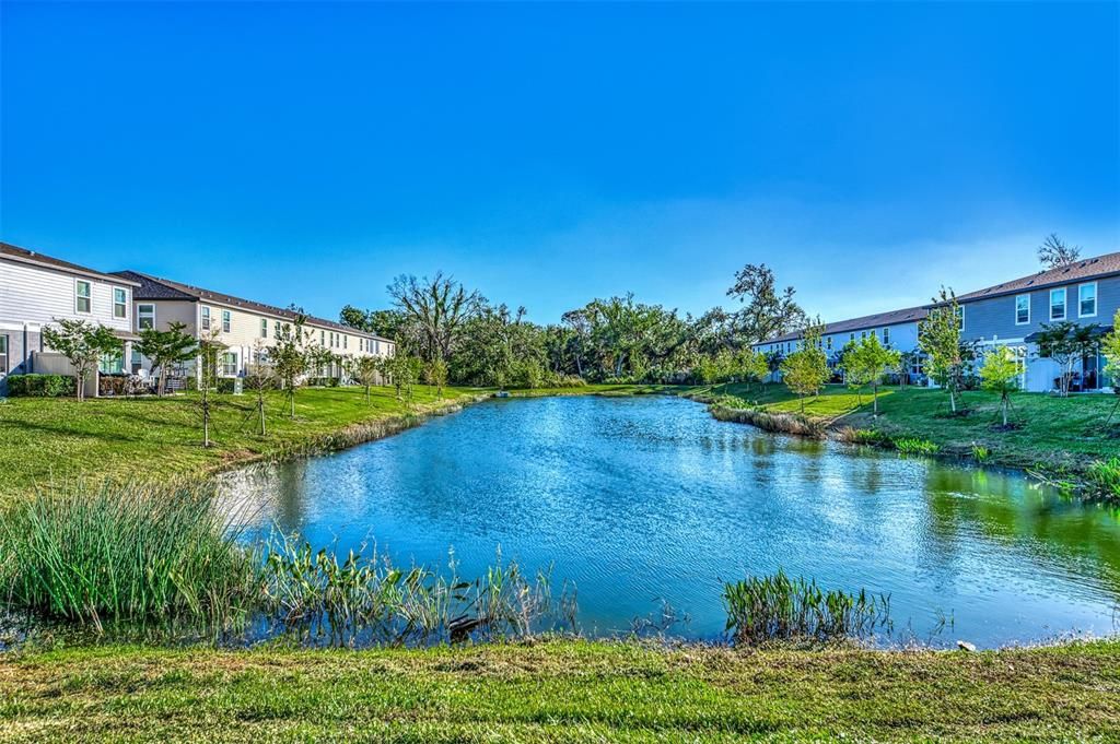 Spencer Cove Pond