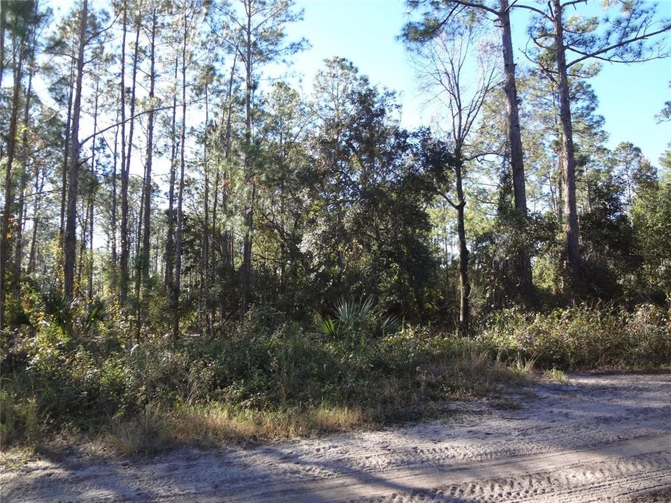 En Venta: $38,500 (0.52 acres)