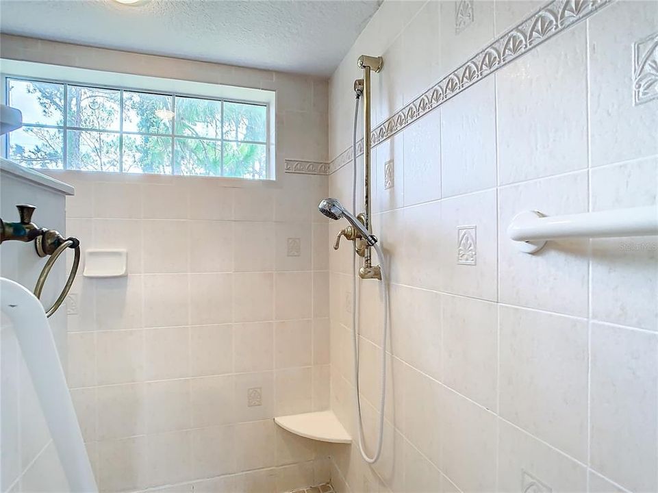 Master bath walk-in shower.