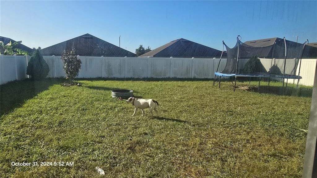 Privacy fenced in back yard