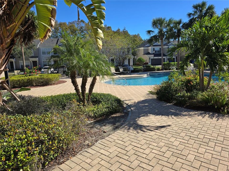 Community pool area