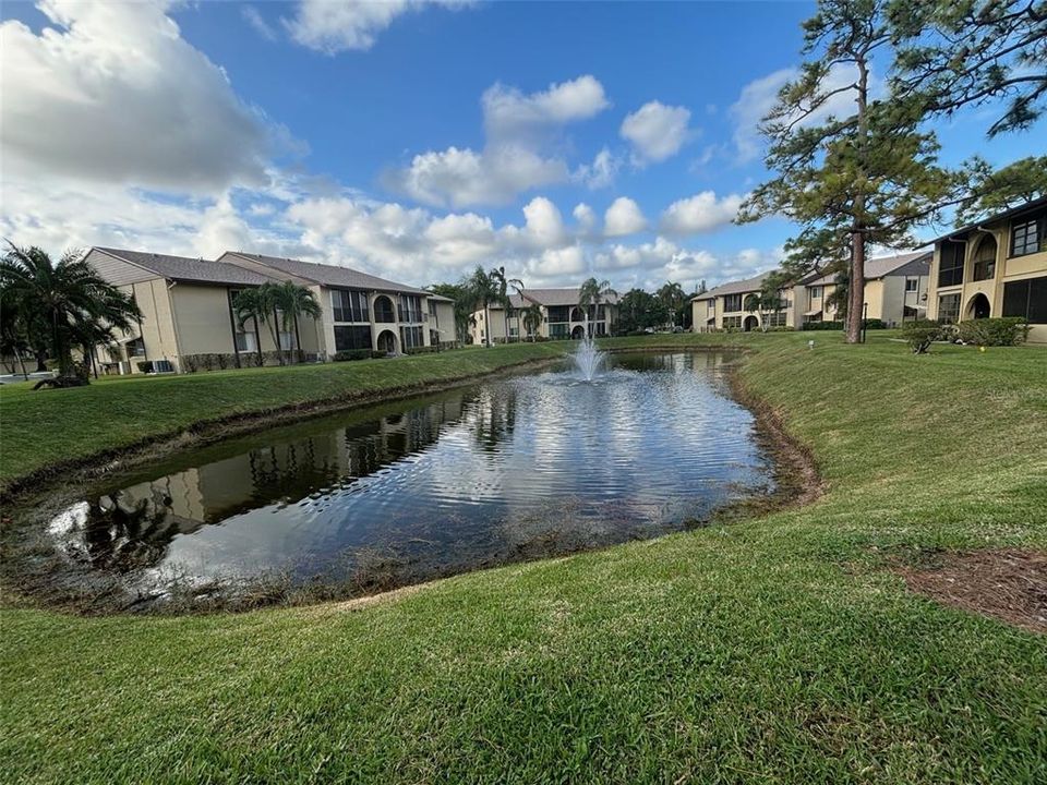 Pond in Front of the building