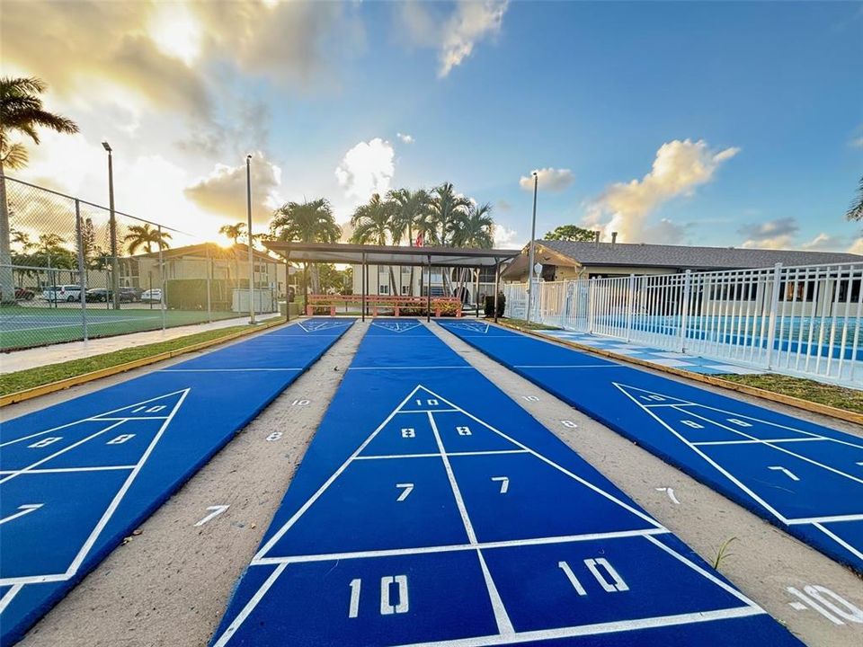 Shuffleboard/Bocce