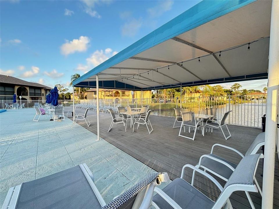 Lounge Chairs by Pool