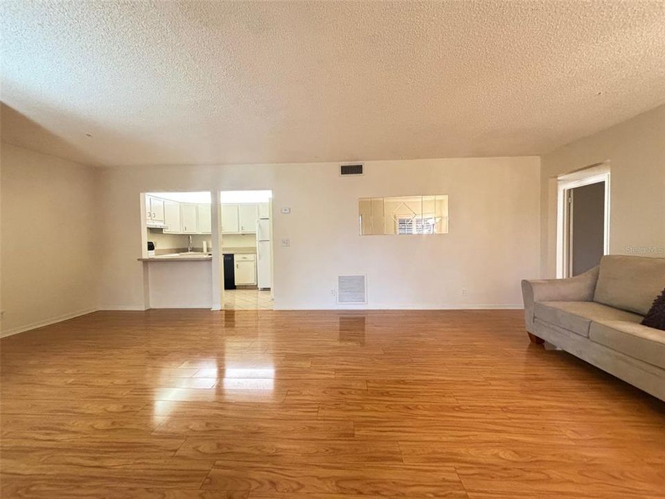 Living Room / Dining Room Combo